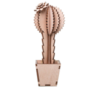 Tree cactus, wooden cactus C
