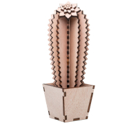 Tree cactus, Wooden cactus B