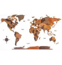 Wooden world map